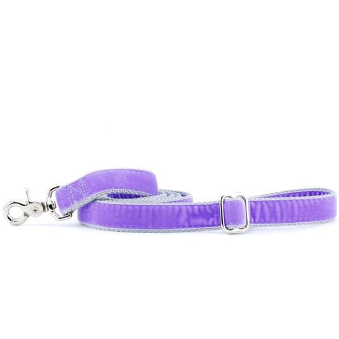 2 Hounds Design Lavender Velvet Dog Leash 6' - Poudre Pet & Feed Supply